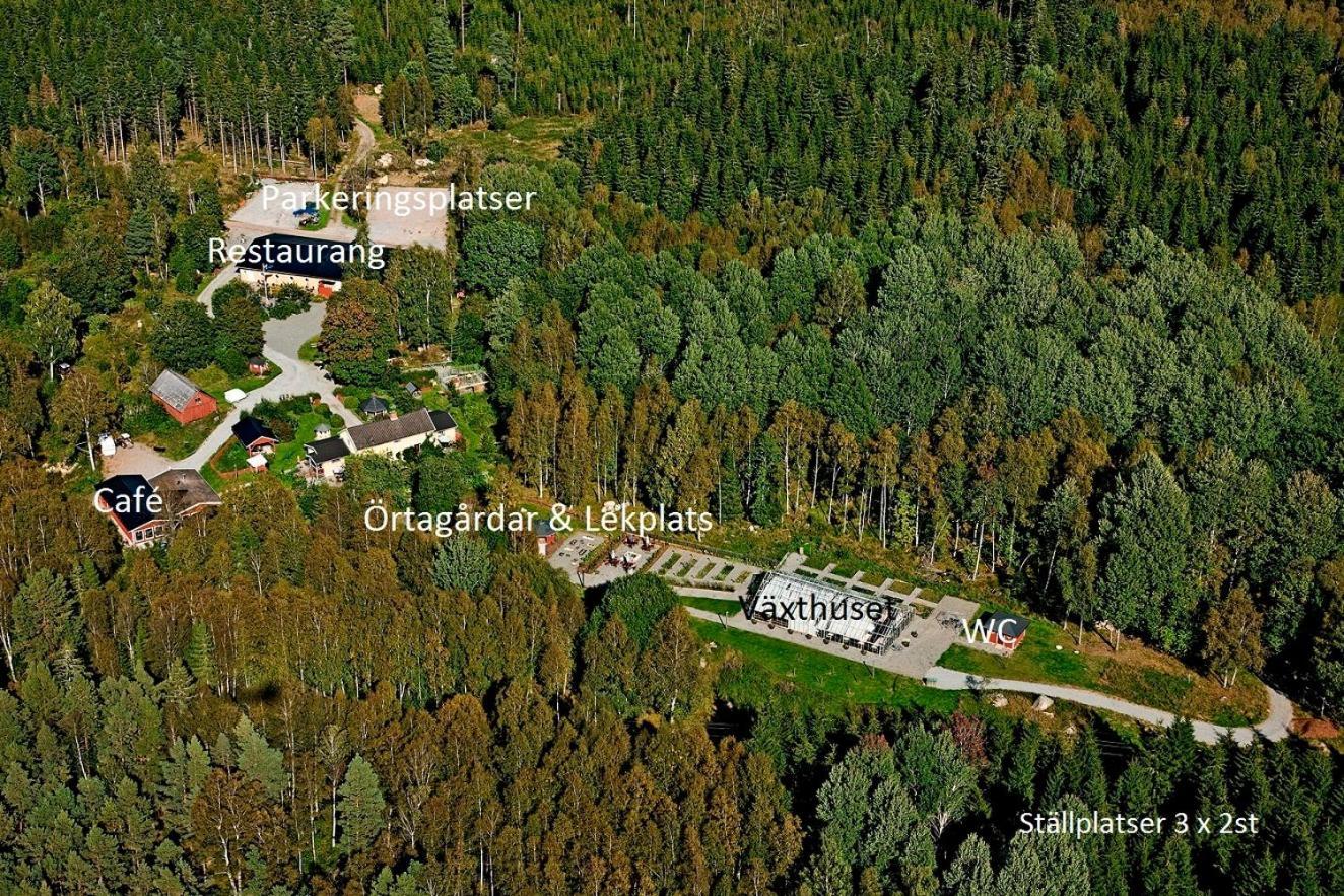 Timjan Forest Resort Nydala 외부 사진